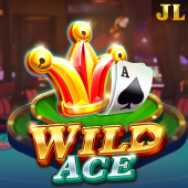 Wild Ace hawkgaming slot